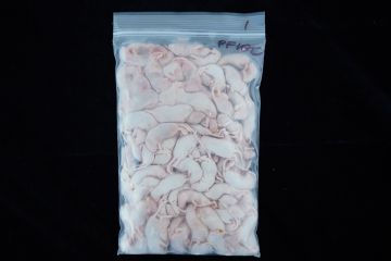Peach Fuzzy Mice 25ct
